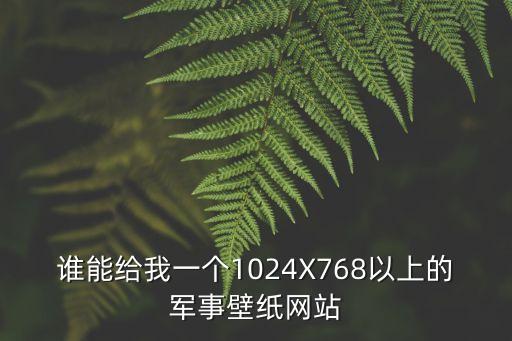 軍事壁紙，誰能給我一個1024X768以上的軍事壁紙網站
