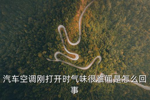 汽車空調異味，汽車空調有味道怎么辦