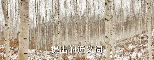 提出近義詞，提的近義詞是什么