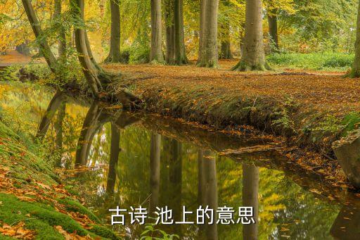  古詩 池上的意思