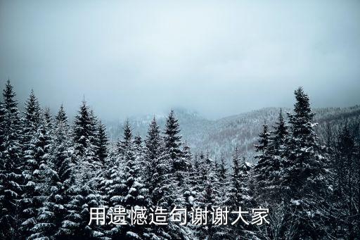 用遺憾造句謝謝大家