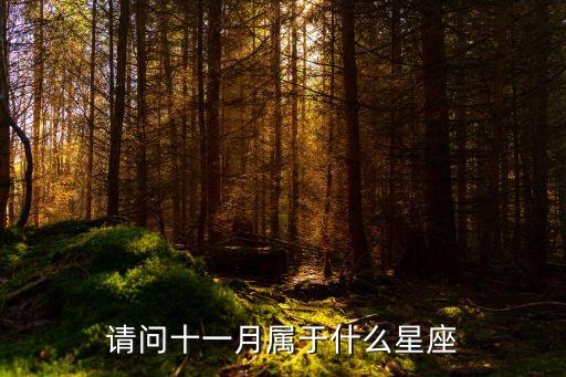 十一月什么星座，十一月屬于什么星座