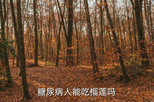 糖尿病人能吃榴蓮嗎