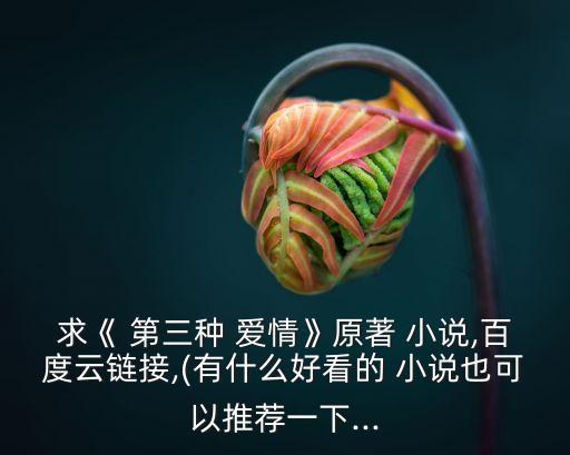 求《 第三種 愛(ài)情》原著 小說(shuō),百度云鏈接,(有什么好看的 小說(shuō)也可以推薦一下...