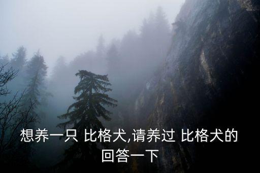 比格犬好養嗎,比格狗是標準吃貨也是百分百群居動物