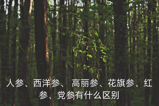 高麗參和紅參的區別,高麗參:產于朝鮮形似紅參功效與人參相同