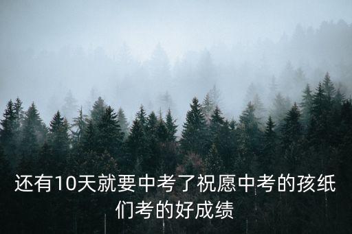 中考加油壁紙，300英雄 詩乃怎么出裝 帶圖謝謝