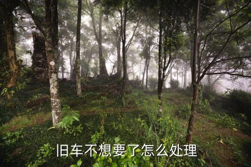  舊車不想要了怎么處理