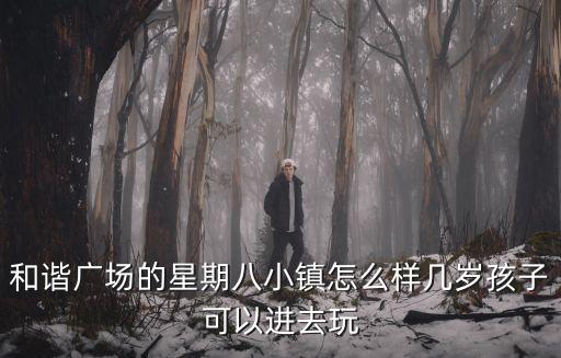 和諧廣場的星期八小鎮(zhèn)怎么樣幾歲孩子可以進(jìn)去玩