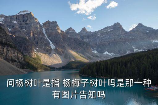 楊梅圖片,冬天吃楊梅好處多營養又美味