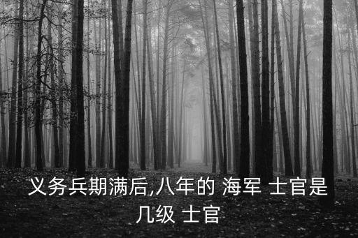 海軍士官,士兵的職責和分配