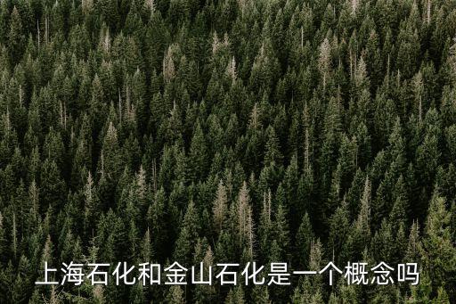 上海石化和金山石化是一個概念嗎