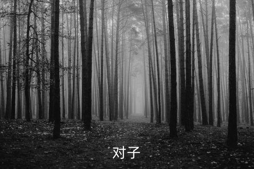 對子