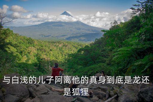 阿離的真身是什么，與白淺的兒子阿離他的真身到底是龍還是狐貍
