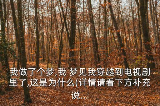 我做了個夢,我 夢見我穿越到電視劇里了,這是為什么(詳情請看下方補充說...