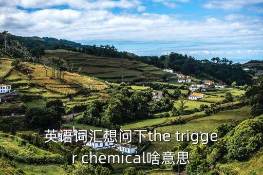 英語詞匯想問下the trigger chemical啥意思