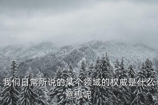 我們日常所說的某個領域的權威是什么意思呢