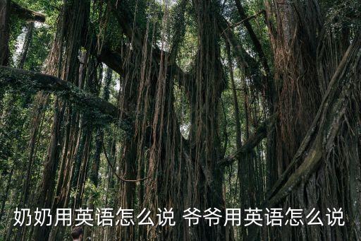 奶奶的英語怎么說，奶奶用英語怎么說 爺爺用英語怎么說