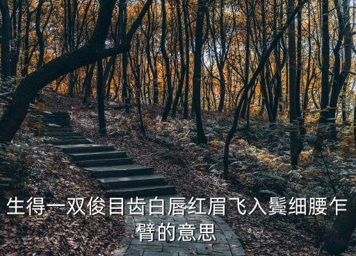 生得一雙俊目齒白唇紅眉飛入鬢細腰乍臂的意思