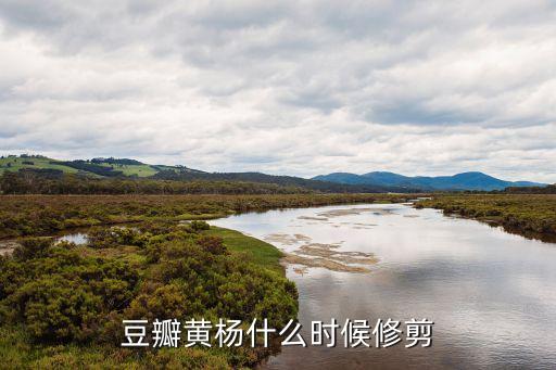 豆瓣黃楊什么時候修剪