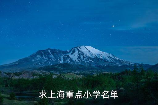 求上海重點小學(xué)名單