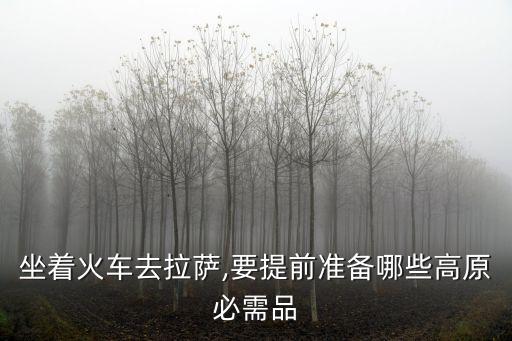 高山紅景天口服液