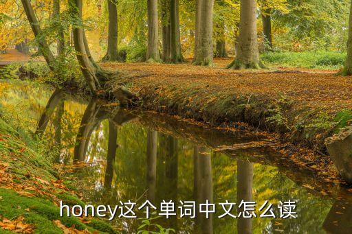  honey這個單詞中文怎么讀