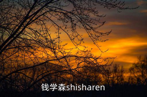 錢學森shisharen