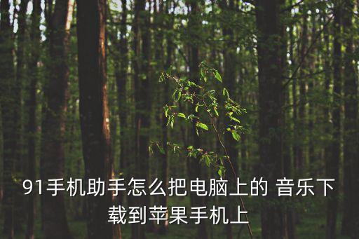 91音樂,如何下載網絡歌曲?