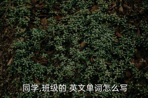 同學(xué)的英文,同班同學(xué)3同學(xué)同學(xué)與student不同之處