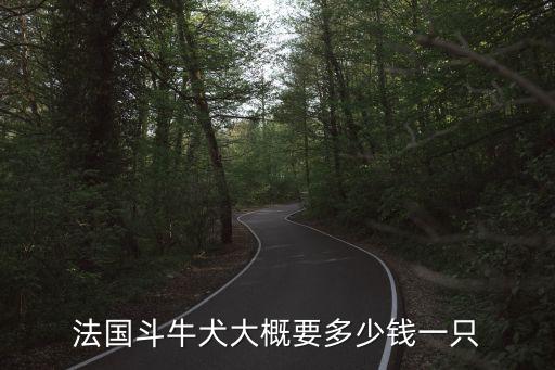 法國斗牛犬大概要多少錢一只
