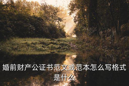 公證書模板，公證書的格式