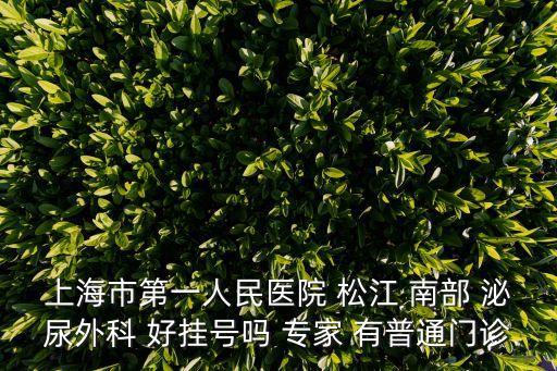 上海市第一人民醫院 松江 南部 泌尿外科 好掛號嗎 專家 有普通門診