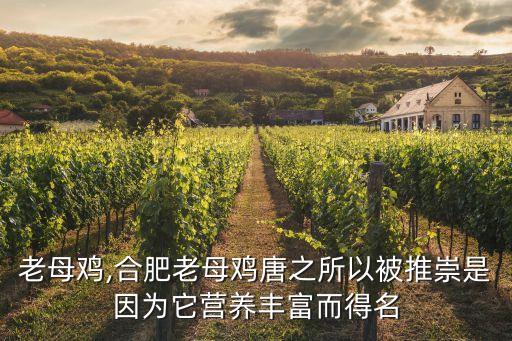 肥東老母雞,合肥老母雞唐之所以被推崇是因為它營養豐富而得名