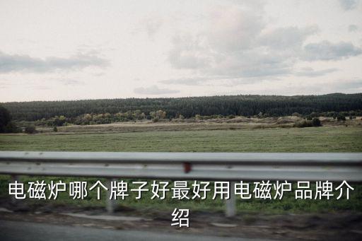 電磁爐哪個牌子好最好用電磁爐品牌介紹