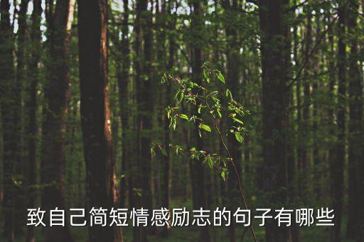 致自己簡短情感勵志的句子有哪些