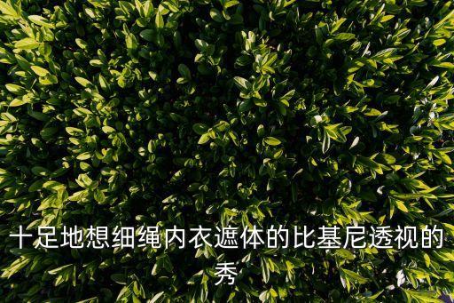 十足地想細(xì)繩內(nèi)衣遮體的比基尼透視的秀