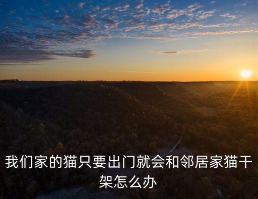 我們家的貓,貓糧叮當(dāng)響鄰居家貓也許會(huì)打架
