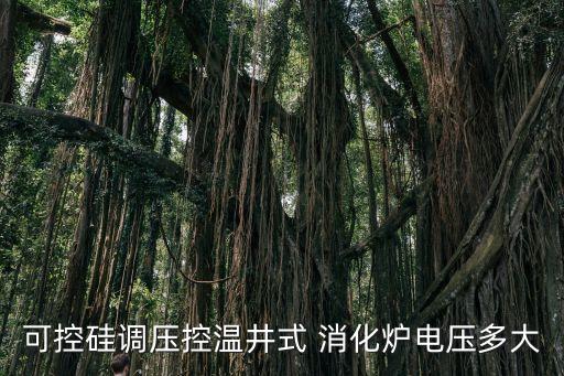 消化爐,蛋白質(zhì)檢測用什么樣的消化爐?