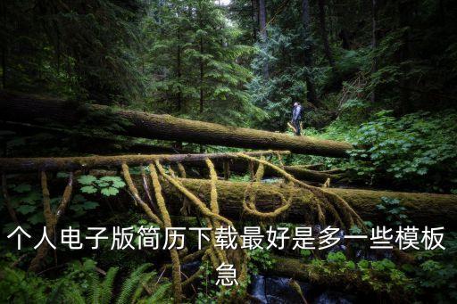 個人電子版簡歷下載最好是多一些模板急