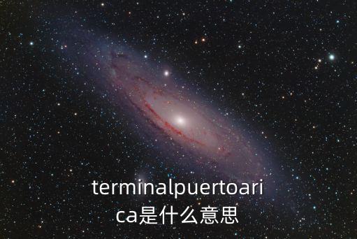 terminalpuertoarica是什么意思