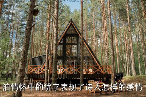 泊情懷中的猶字表現(xiàn)了詩(shī)人怎樣的感情