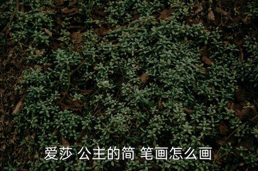 愛(ài)莎 公主的簡(jiǎn) 筆畫怎么畫