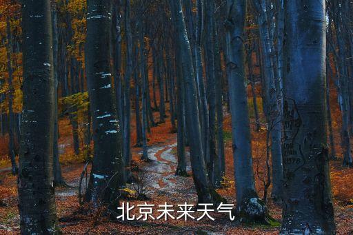 北京未來天氣