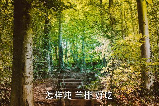 怎樣燉 羊排 好吃