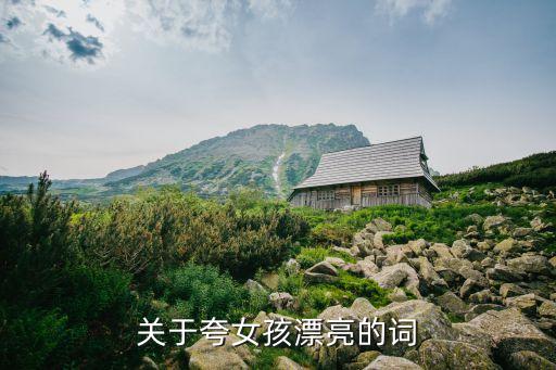 關于夸女孩漂亮的詞