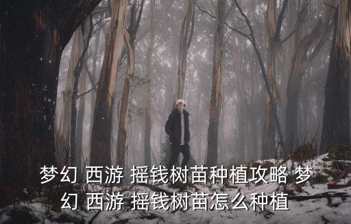 夢幻西游搖錢樹,這些搖錢樹要如何打理