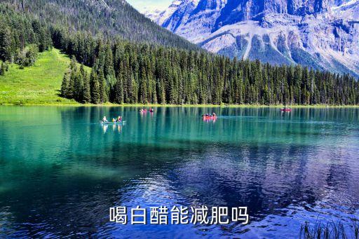 喝白醋能減肥嗎