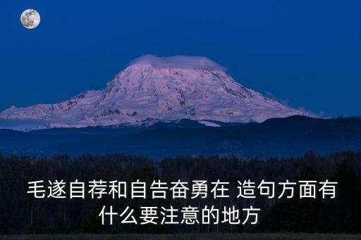  毛遂自薦和自告奮勇在 造句方面有什么要注意的地方