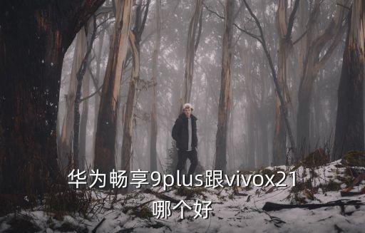 華為暢享9plus跟vivox21哪個(gè)好